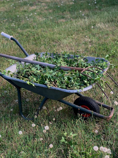 A person wearing a white glove and a watch on their wrist is holding open a large white biodegradable bag filled with garden waste, including small branches, leaves, and twigs. The bag is placed on a gravel surface, with a metal shovel positioned above it containing more garden debris. In the background, parts of men's dark shoes are visible, indicating outdoor activity related to garden or household waste collection. The scene suggests a home relocation or clearance involving the disposal of garden furniture, plants, or other waste materials as part of a removal or moving process, supported by the presence of the glove and tools likely used for packing or loading during a house move managed by Man wth Van Rush Green.