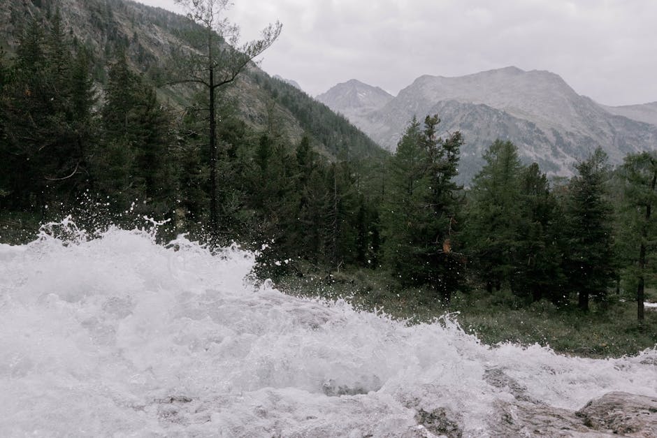 A rushing mountain river with white water foaming over rocks, flowing through a forested valley surrounded by tall green pine trees and rugged mountain peaks in the background. The scene is outdoors with a cloudy sky, capturing the natural environment often associated with remote or rural relocations. Although the image does not depict furniture or moving equipment, it emphasizes the outdoor setting and natural landscape that can be part of a house removal or logistics route, as handled by companies like Man wth Van Rush Green. This scenery highlights the importance of careful planning and transportation when relocating belongings through various terrains, including mountainous or wilderness areas, aligning with the company's focus on home relocation and efficient moving services in challenging environments.