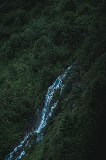 The image depicts a lush green hillside with dense foliage and trees, and a narrow, cascading waterfall flowing downhill through the greenery. The waterfall, characterized by white, foamy water, creates a striking contrast against the dark, verdant landscape. The surrounding terrain appears steep and rugged, with the waterfall originating from higher elevations and descending along the slope. The lighting suggests natural daylight, illuminating the vibrant greenery and the flowing water. This natural scene, while not directly related to house removals, visually emphasizes the importance of careful handling and transport of belongings in home relocation or furniture transport scenarios, as carried out by professional moving companies such as Man wth Van Rush Green.