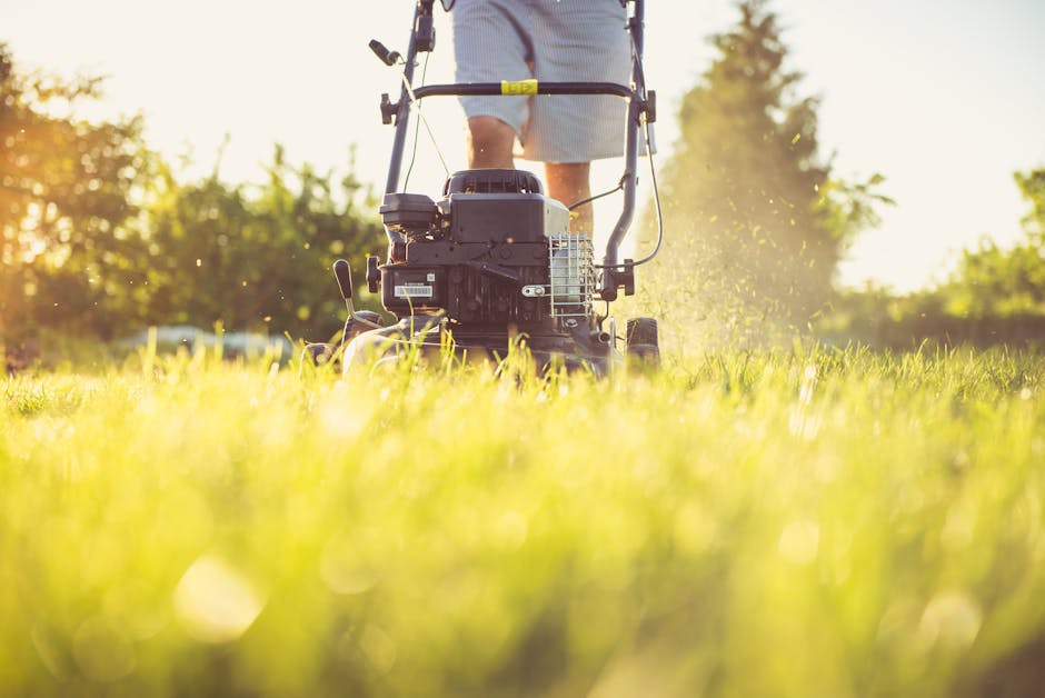 A person operating a petrol-powered lawnmower in a sunlit garden, with the image focused on the machinery and the grass in the foreground. The lawnmower, positioned on a lush green lawn, has a black engine, yellow safety features, and is being pushed by a person wearing grey shorts and a long-sleeved shirt. The background shows trees and a bright sky, indicating good weather. This scene illustrates the process of preparing a property for a house move, highlighting equipment used during the packing and moving process. Man with Van Rush Green's services may involve garden clearance or property preparation to ensure a smooth home relocation, with careful attention to outdoor space and furniture transport.